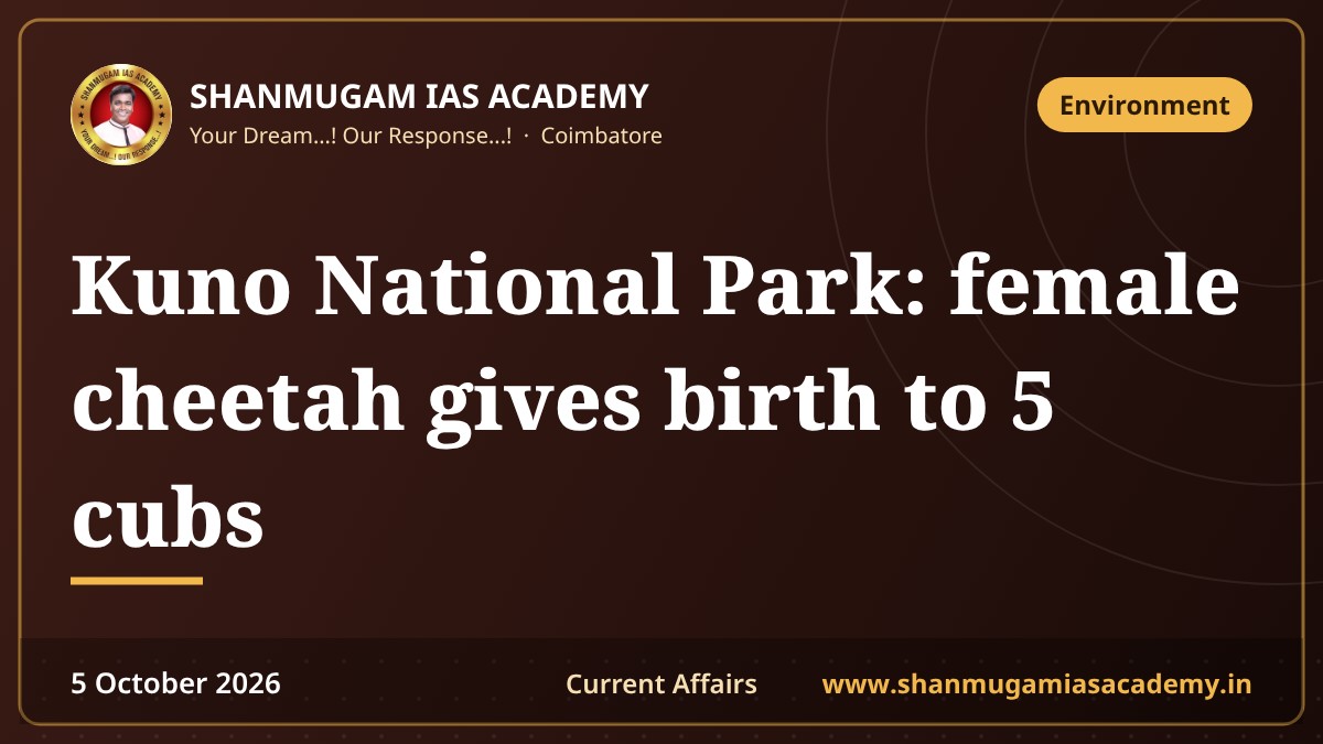 Kuno National Park: female cheetah gives birth to 5 cubs