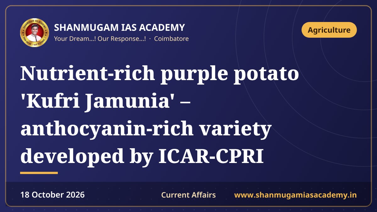 Nutrient-rich purple potato 'Kufri Jamunia' – anthocyanin-rich variety developed by ICAR-CPRI