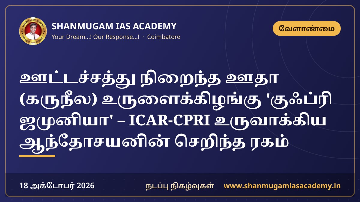 ஊட்டச்சத்து நிறைந்த ஊதா (கருநீல) உருளைக்கிழங்கு 'குஃப்ரி ஜமுனியா' – ICAR-CPRI உருவாக்கிய ஆந்தோசயனின் செறிந்த ரகம்