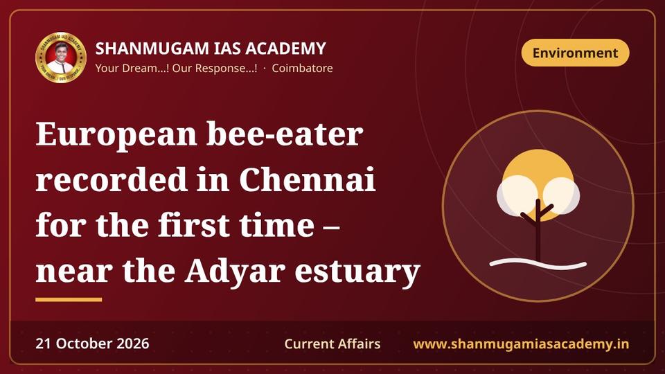 European bee-eater recorded in Chennai for the first time – near the Adyar estuary