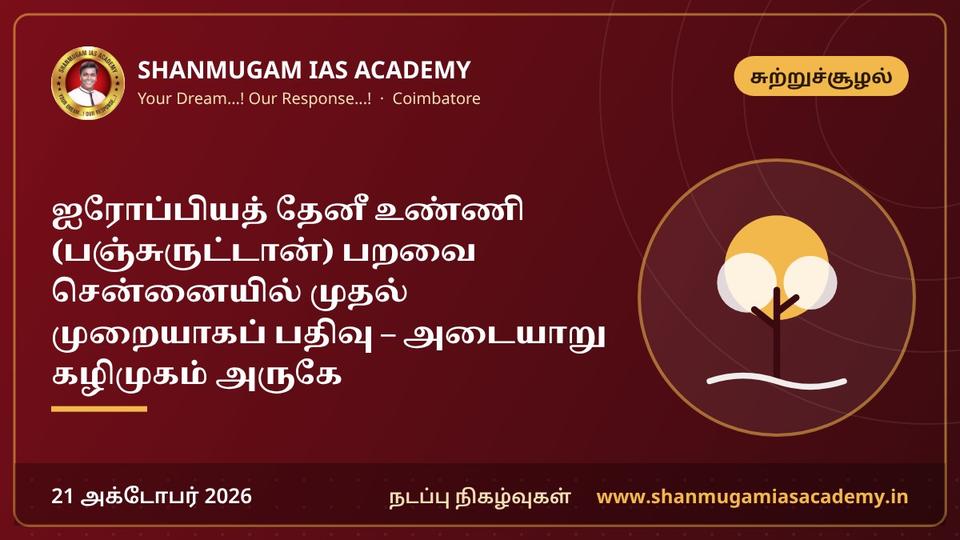 ஐரோப்பியத் தேனீ உண்ணி (பஞ்சுருட்டான்) பறவை சென்னையில் முதல் முறையாகப் பதிவு – அடையாறு கழிமுகம் அருகே