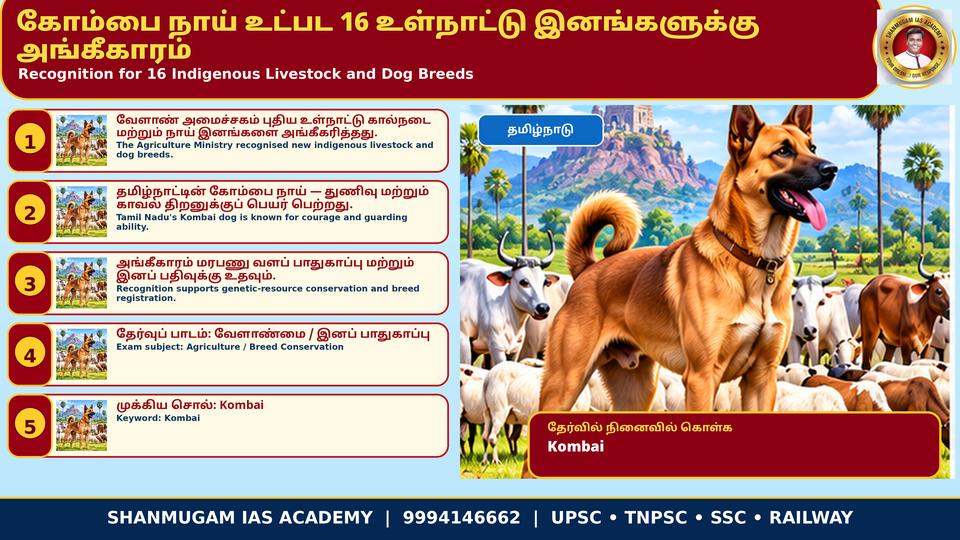 தமிழ்நாட்டின் கோம்பை நாய் உட்பட 16 புதிய உள்நாட்டுக் கால்நடை, நாய் இனங்களுக்கு மத்திய வேளாண் அமைச்சகம் அரசிதழ் அங்கீகாரம்