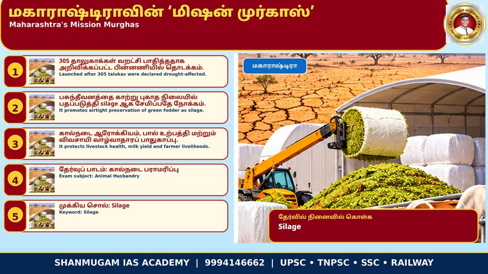 305 தாலுகாக்களில் வறட்சி – தீவனப் பற்றாக்குறையைச் சமாளிக்க மகாராஷ்டிரா 'மிஷன் முர்காஸ்' தொடக்கம்
